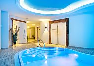SEETELHOTEL Ostseehotel Ahlbeck, Pool-/Saunabereich