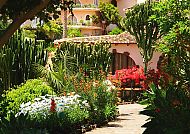 Botanischer Garten
