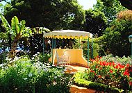 Botanischer Garten