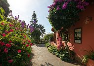 Botanischer Garten